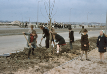 831369 Afbeelding van het planten van een boom tijdens een boomplantdag, vermoedelijk in de Aziëlaan in de wijk ...